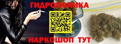 стаф Аргун